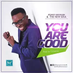 Ifeanyi Amunuba X The New Soul - You Are Good